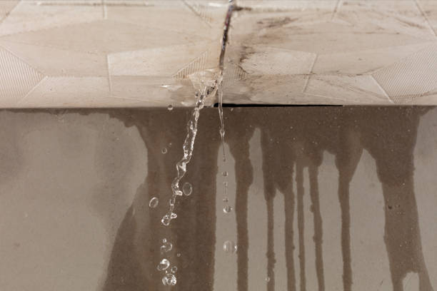 Professional Burst Pipe Cleanup technician working in Stevensburg, VA